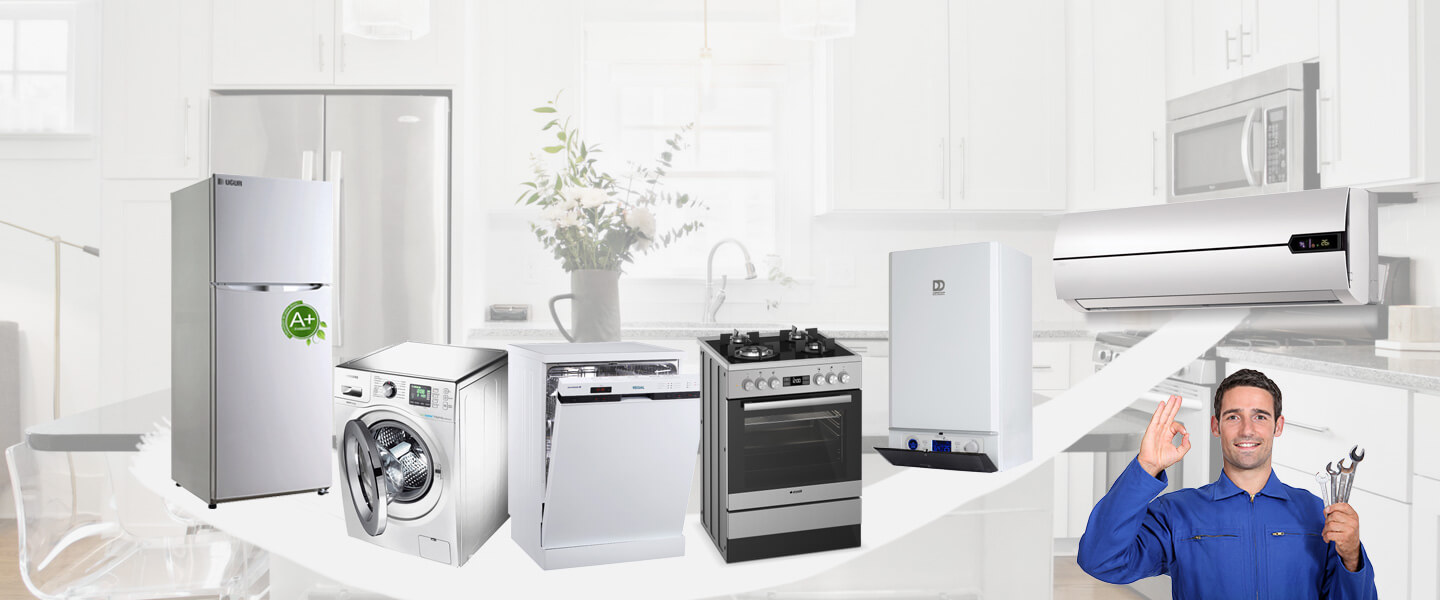 Taşlıçay Vaillant Servisi